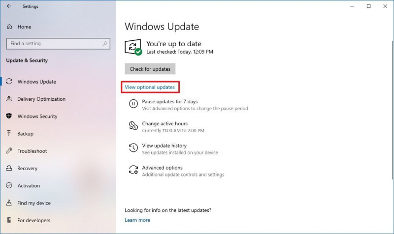 Uppdatera USB-drivrutiner via Windows Update-inställningar för att åtgärda en skadad flashenhet utan att formatera