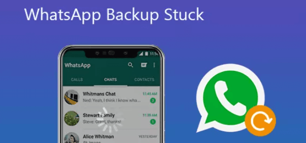 WhatsApp 백업이 0%에서 멈춤