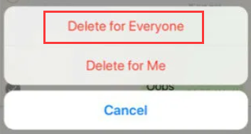 Permanently Delete WhatsApp Messages iPhone