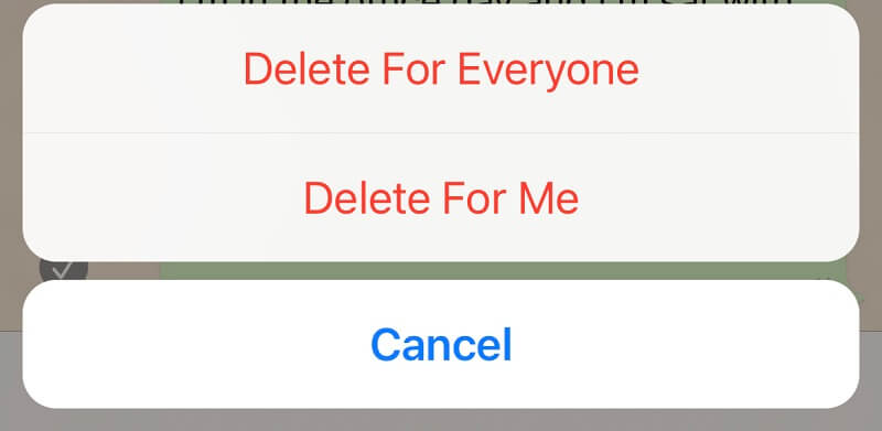 Delete WhatsApp Videos from iPhone