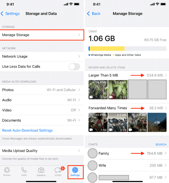 Deleting WhatsApp Media on iPhone through The Manager Storage