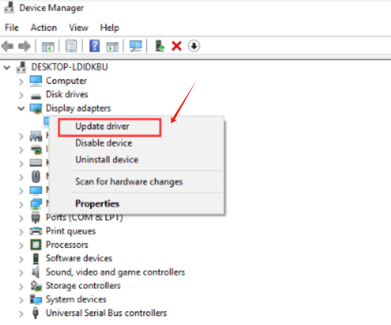 Update Display Adapters to Fix the Issue