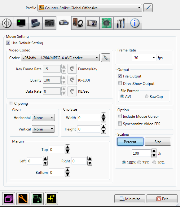 Lightweight Screen Recorder - Dxtory