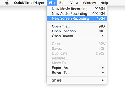 Record WhatsApp Video Call on Mac