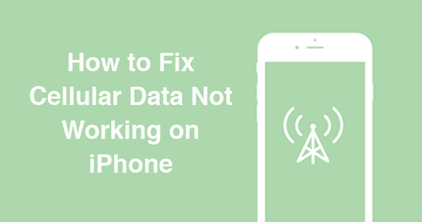 Fix Cellular Data Not Working On Iphone