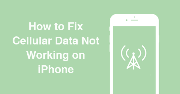 Ios设备蜂窝数据不起作用 这是真正的修复