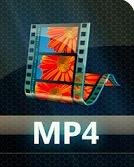 Instagram 비디오 변환기 - 비디오 Converter.MP4