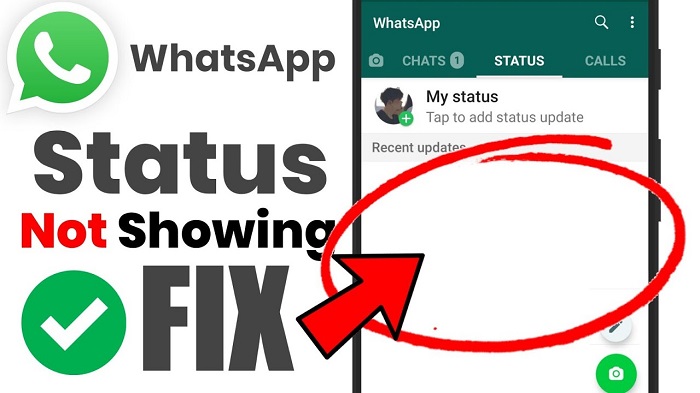 WhatsApp Status Not Showing