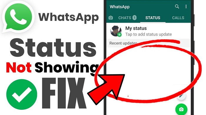 Status do WhatsApp não aparece