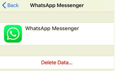 Delete WhatsApp iCloud Data to Erase WhatsApp Backup