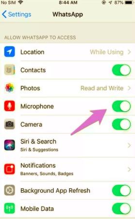 Allow iPhone Microphone Permission to Fix WhatsApp Voice or Video Call No Sound