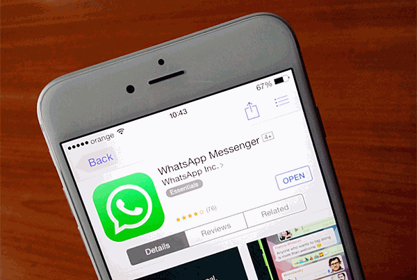 Update WhatsApp to Fix WhatsApp Notifications not Working