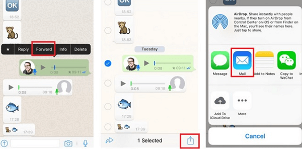 Spara WhatsApp-röstmeddelanden från iPhone med e-post