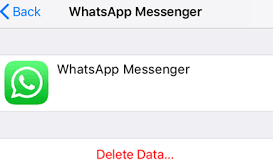Excluindo dados de backup do WhatsApp do iCloud